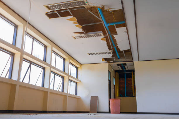 Best Water damage repair service  in Cullowhee, NC