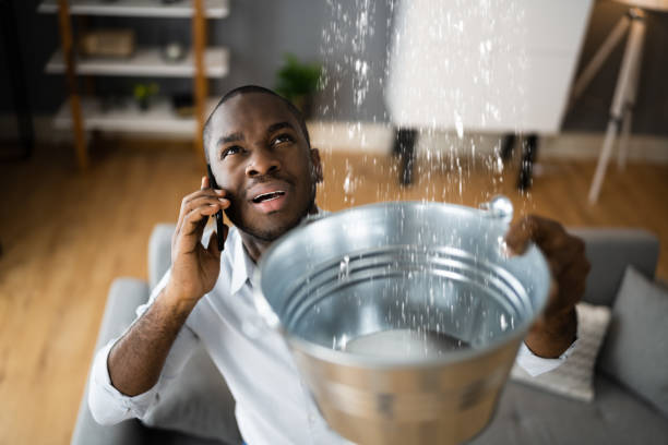 Best Sewage cleanup and water damage restoration  in Cullowhee, NC