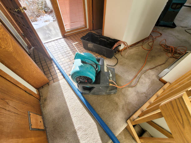 Best Professional water damage repair  in Cullowhee, NC