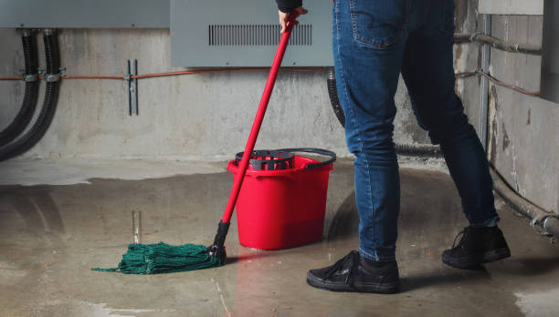 Best Flooded house restoration  in Cullowhee, NC