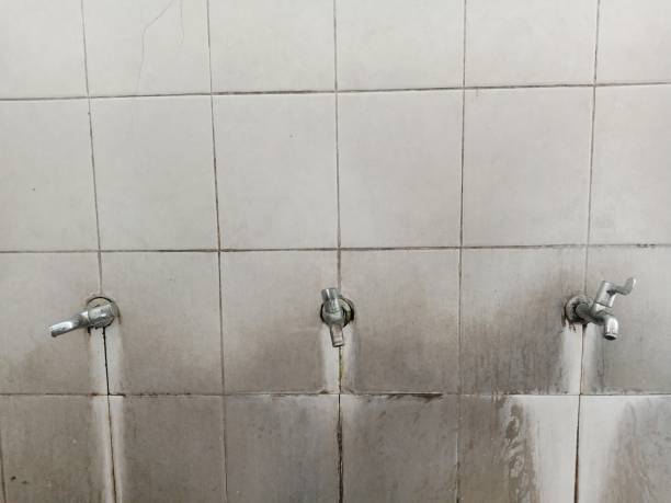 Best 24/7 water damage repair  in Cullowhee, NC