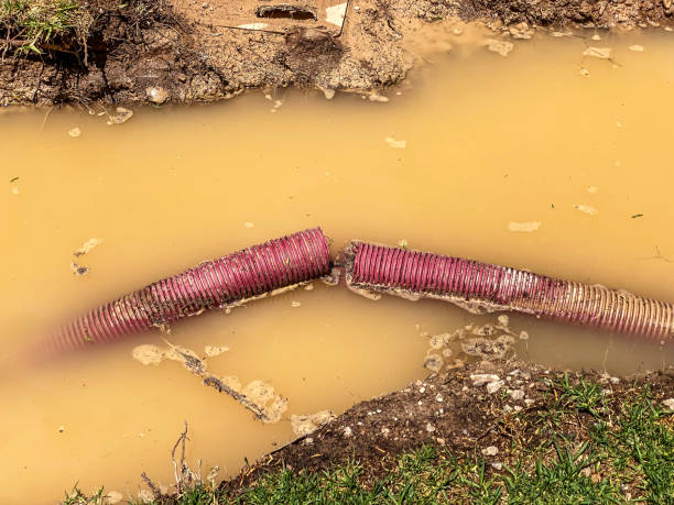 Water damage restoration mold remediation in NC