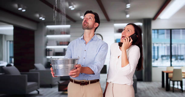  Cullowhee, NC Water damage restoration Pros