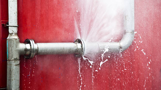 Best Water damage restoration mold remediation  in Cullowhee, NC
