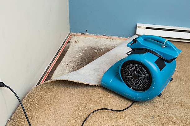 Best Basement water damage restoration  in Cullowhee, NC