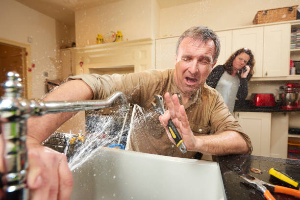 Best Water damage contractors near me  in Cullowhee, NC